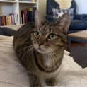 Photo of Zelda