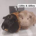 Photo of Libby And Abbey