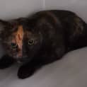 Photo of Jaffa