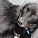 Photo of Sooty