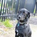 Photo of Sooty