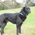 Photo of Sooty