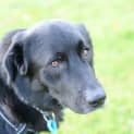 Photo of Sooty