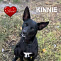 Photo of Kinnie 