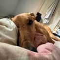 Photo of Edie