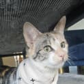 Photo of Martha
