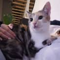 Photo of Martha