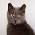 Photo of Gabby