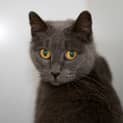 Photo of Gabby