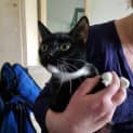 Photo of Maggie