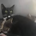 Photo of Maggie