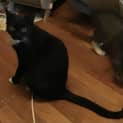 Photo of Maggie