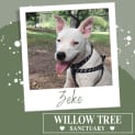 Photo of Zeke