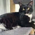 Photo of Lucky 
