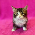 Photo of Hermione
