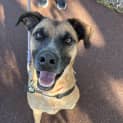 Photo of Luna