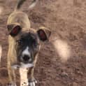 Photo of Turbo