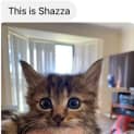 Photo of Shazza