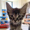 Photo of Taylor