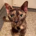 Photo of Willow