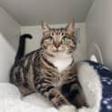 Photo of Wendy