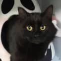 Photo of Wendi