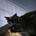 Photo of Wendi