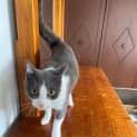Photo of Jasper
