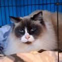 Photo of Jasper