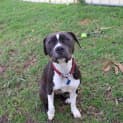 Photo of Molly