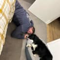 Photo of Alfie