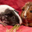 Photo of Cordellia And Kaysha