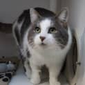 Photo of Bumi
