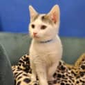 Photo of Jemima
