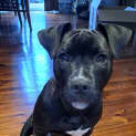 Photo of Winnie