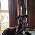 Photo of Winnie