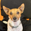 Photo of Jack Jack