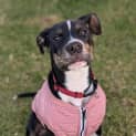 Photo of Coco