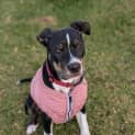 Photo of Coco