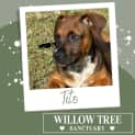 Photo of Tito