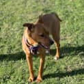 Photo of Isolde