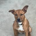 Photo of Isolde