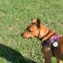 Photo of Isolde