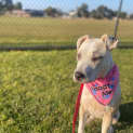 Photo of Mia
