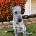 Photo of Brax