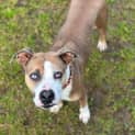 Photo of Narla
