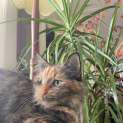 Photo of Carys