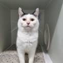 Photo of Moo