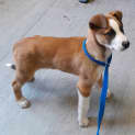Photo of Tuff