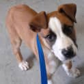 Photo of Tuff